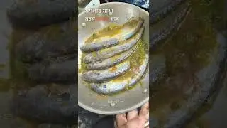 হাতে মাখা পাবদা মাছ | ঝাল&ndash;মশলার পারফেক্ট ঘরোয়া রেসিপি #পাবদা_মাছ #fishcurry #pabdamacherrecipe