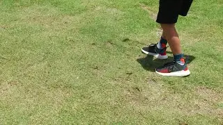 one-armed golfers meet at Innisbrook in Palm Harbor