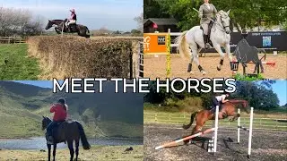 Meet My Horses: Rebuilding Our Way to Advanced | Eventing & Working Equitation