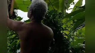 7 October 2021 Retirement Lifein Kitcheng arden #harvesting banana
