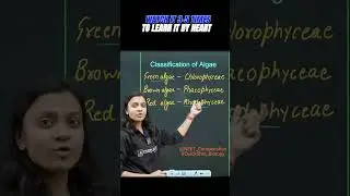 CLASSIFICATION OF ALGAE | QuickShot Biology | #neet_preparation #ncert #biology #neet2024