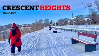🇨🇦Crescent Heights Calgary on February 2025 | 4k walking tour | haya vlog