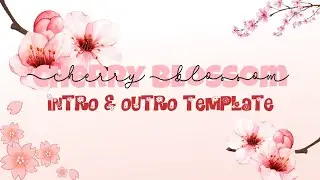 Pink Intro & Outro Template | No Text