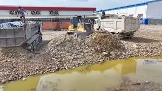 Wow Amazing Work!!DumpTruck 25TON  Many Trasport Stone Filling Land And BullDozer C3 Push In Water