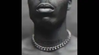 DMX featuring Jadakiss Styles P Sheek Louch and Swizz Beatz - That's My Dog