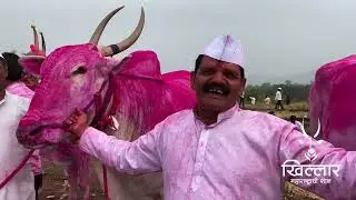 श्री. मदन माधवराव भोसले (अप्पा) । बावधन बगाड । Khillar Maharashtrachi Shaan | 2022