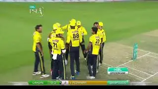 DARREN SAMMY SELFIE MOMENTS IN PSL | CATCHES WIN MATCHES |  Psl funny videos
