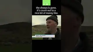 Irish Farmer's Reaction To A SH!TE Day!! #ireland #irish #gaeilge #humor