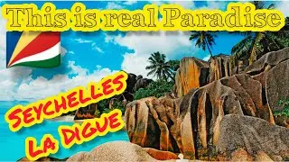 We went to the Paradise Beach - vlog 15