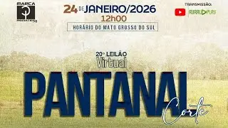 20° LEILÃO VIRTUAL PANTANAL CORTE - CORUMBA/MS - RURAL PLAY