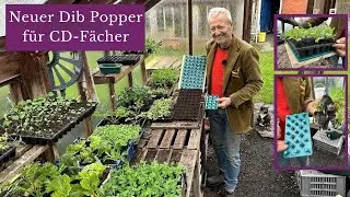 Wurzelballen easy aus CD-Schalen l&ouml;sen & fix neue L&ouml;cher zum Auss&auml;en machen