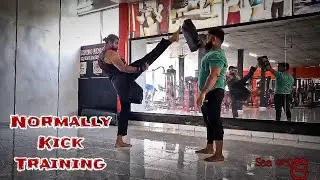 Normally fighting technics | Kick and Punch 