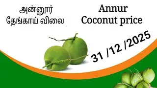 31| 12 | 2025 அன்னூர் தேங்காய் &கொப்பரை விலை | Annur Coconut & Copra Price