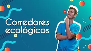 Corredores Ecológicos - Brasil Escola