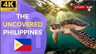 You Think You Know About Philippines?! Top 5 Must-see Hidden Treasures in the Philippines (4K UHD)