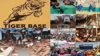 CAPTI Report Details Forced Labor, Human Rights Violations by Police | Tiger Base Owerri