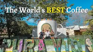 Best Coffee in Central America? (Coffee Tour at Caf&eacute; T&iacute;o Leo)