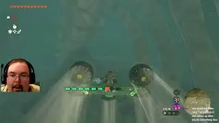 TOTK! The adventure begins! Woo! #totk #firstplaythrough #tearsofthekingdom  #botw  #zelda #link