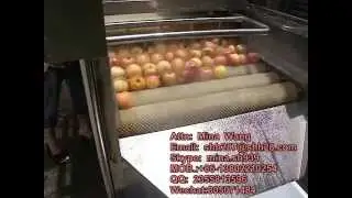 qm-2 apple washing machine, fruit brush washer machine