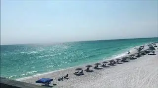 Vlog #1 | Local Marine Life | Marine Biology Student