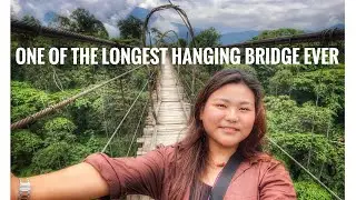 One of the longest hanging bridge ever😱#hangingbridge #longestbridge #tuting #karchilhachi #pemakoe