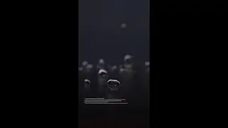 Bespoke AI Jet Bot Steam Teasing Film | Samsung
