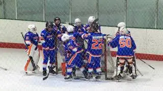 CBHL: 12U Blue Tricity Eagles vs MYHA Gold (02/02/2025)