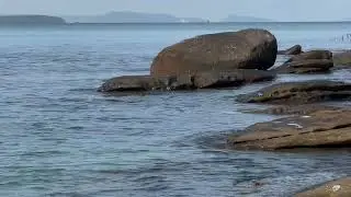 Coastal Calm & Blue Waves Murmurs Rock You to Sleep.