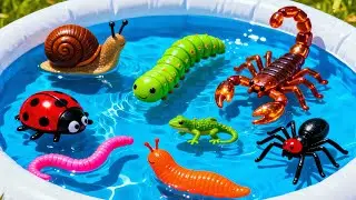 Названия ползающих животных для детей🐍🐛 Видео для изучения английской лексики для малышей и дошко...