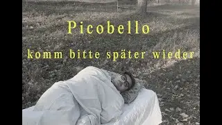 Picobello - komm bitte sp&auml;ter wieder (official)