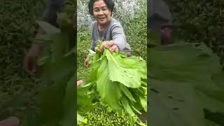 Gh&eacute; quan cơm m&aacute; Dung ăn kh&ocirc;ng cả nh&agrave; ơi