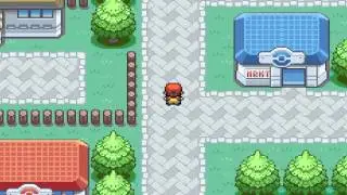 Let's Race - (Flo) Pokemon Blattgr&uuml;n [Fuel-Edition] 05