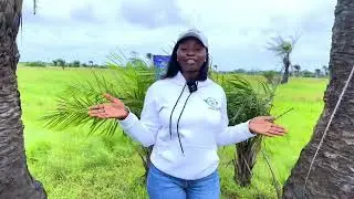 Ibeju Lekki: Ode Omi, Discount Price.Strong Return On Investments #location #fastdevelopment 