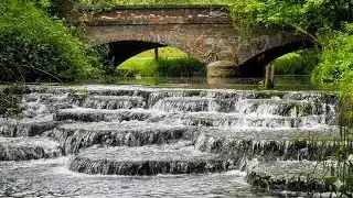 [4K] 🇬🇧 Watford Cassiobury Park | Peaceful Woodland | Walking Tour