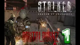 S.T.A.L.K.E.R. Shadow of Chernobyl Multiplayer 