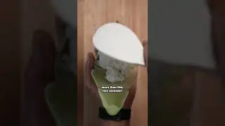 Why I WASTE Food