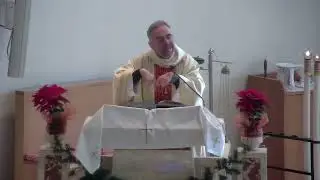 Omelia Santa Messa - 11 gennaio 2026