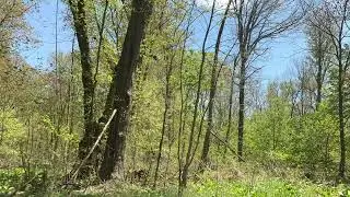 mythical june - loudbuoy | midwest emo