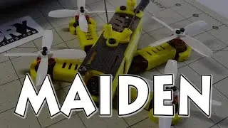 Tomoquads Mosquito Maiden