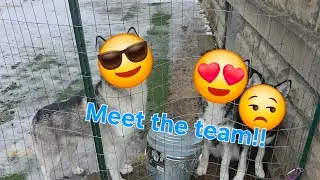Trail tour plus meeting the dogs! 