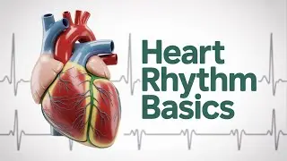ECG basics and fundamentals #ecgbasics #ecgfundamentals #ecg #EKG #ELECTROCARDIOGRAM #ELECTROCARDIO
