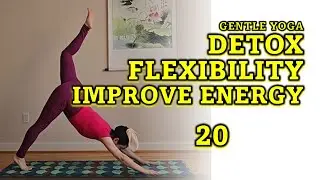 Gentle Yoga Detox, Flexibility, Improve Energy 20