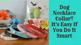 Dog Necklace Collar || It's Easy If You Do It Smart 2019