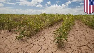 Climate change already affecting global food production - TomoNews