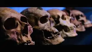 Attila örökösei- Antropológia, arcrekonstrukció, genetika