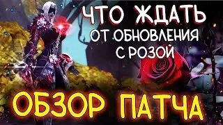 ОСНОВНЫЕ МОМЕНТЫ ОБНОВЛЕНИЯ ROSEVAIN обзор патча lineage 2 essence eva wolf