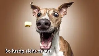 EY! Fotografie | Grimassen- Shootings in Bremen