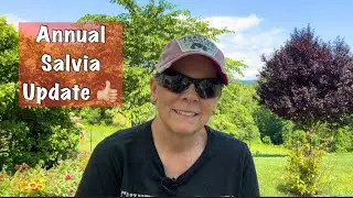 Update & Maintenance on the Annual Salvia Bed ➕a little silly 🙃 fun 🚂