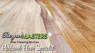 💫Century-old red oak floors get final sanding & poly, revealing timeless beauty in San Antonio✴️