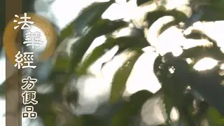 【靜思妙蓮華】法華經方便品 - 知苦明諦勤精進 - 20200402 第229集